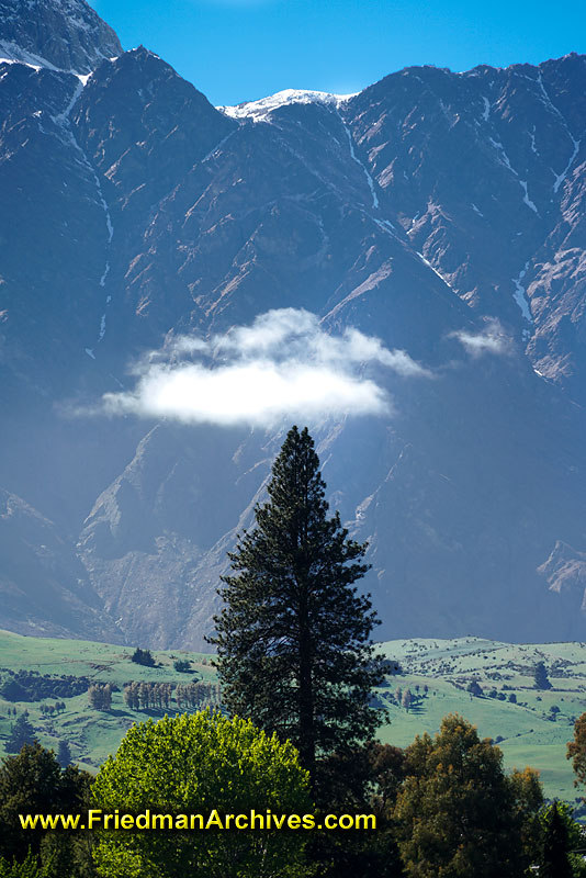nature,cloud,tree,pointed,pointy,atop,